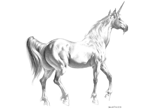 316488 (a): :1024x768